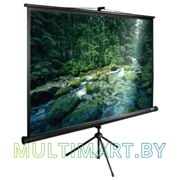 Проекционный экран CACTUS TriExpert 220x165 (CS-PSTE-220х165-BK)